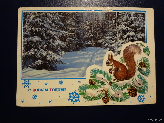 С Новым годом!  1975 г.  Зимний лес, белочка, шишки.  подписанная.