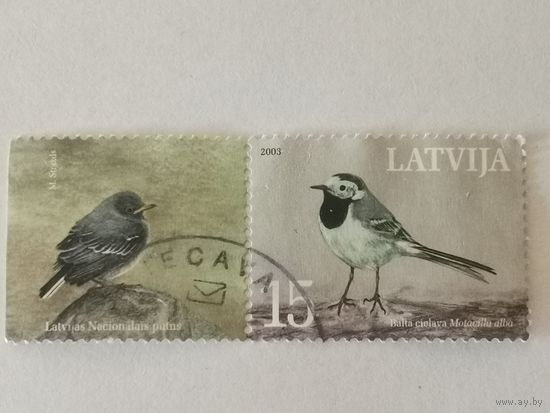 Национальная птица 2003 года - белая трясогузка