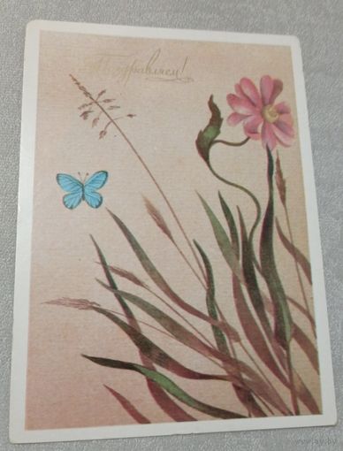 Художник Державин А., Поздравляем! 1983, чистая. 10х15 см.