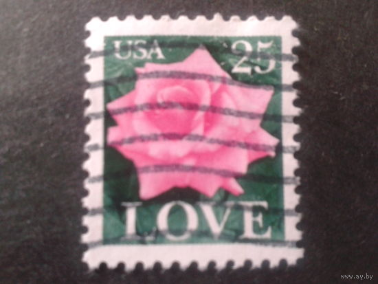 США 1988 Роза, любовь