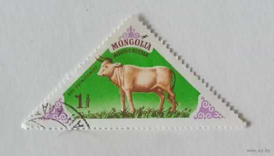 Доисторические животные.