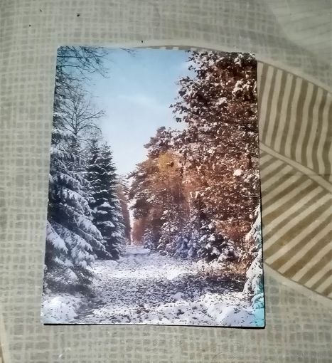 Открытка фото. Первый снег. 1984г