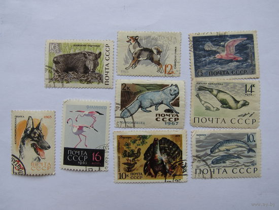 Фауна CCCР.