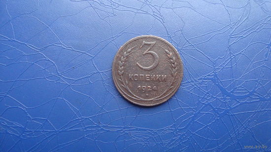 3 копейки 1924                                        (683)