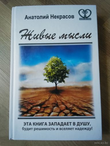 Живые мысли. Некрасов А.