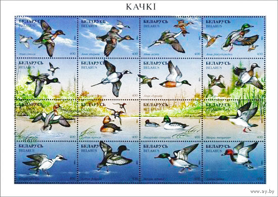 1996 БЕЛАРУСЬ  малый лист коллекционных марок Утки  MNH