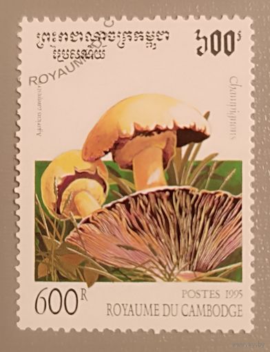 Грибы. Камбоджа, 1995