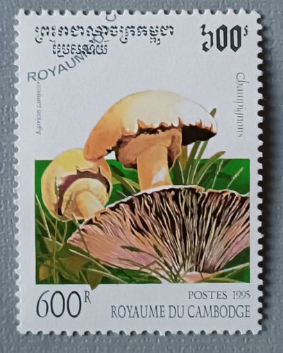 Грибы. Камбоджа, 1995