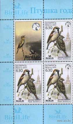 Квартблок "Домовой воробей" (2м501+м501А+ купон)