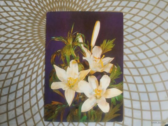 Открытка СССР 1989 год.   Чистая. И.Дегилев . Состояние на скане.