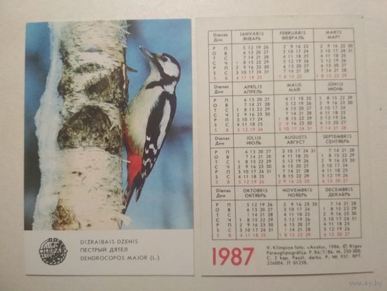 Карманный календарик. Птица Пёстрый Дятел. 1987 год