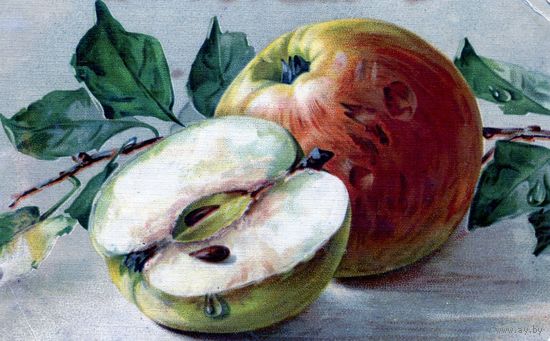 Открытка,  почтовая карточка,старинная, Яблоки