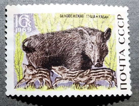 Марка СССР 1969 год Беловежская пуща