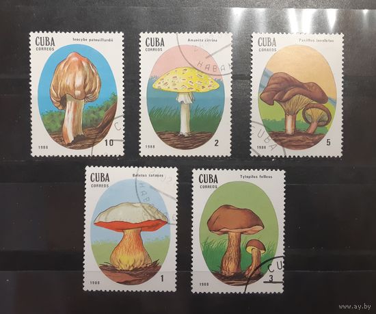 Куба. 1988 год. Флора. Грибы (100)