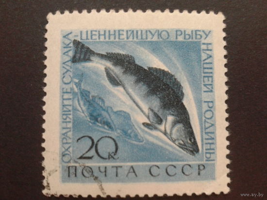 СССР 1960 судак