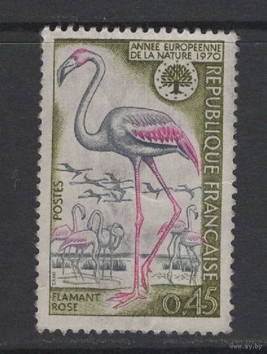 Франция 1970 Фауна Птицы Розовый Фламинго (Mi#1704)