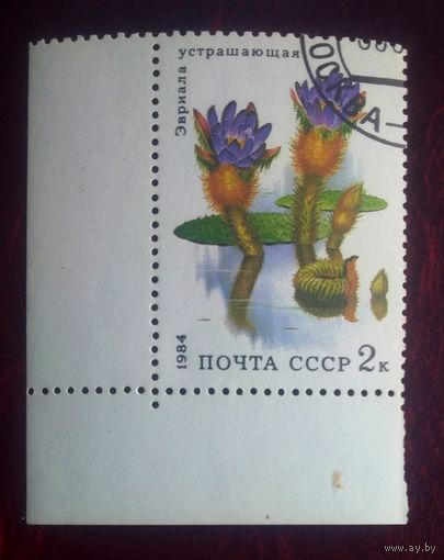 Марки СССР 1984 год. Водные растения. 5502.Устрашающая эвриада.гашеная. 2-я марка  серии из 5