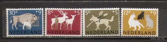 ФФ1 Нидерланды 1964 Фауна
