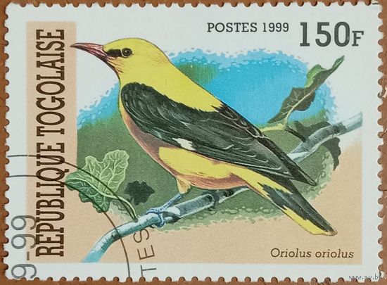 Того 1999. Фауна. Птицы. Oriolus Oriolus