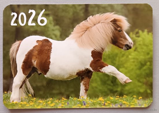 Лошадь. Календарик, глянец, 2026. Траско