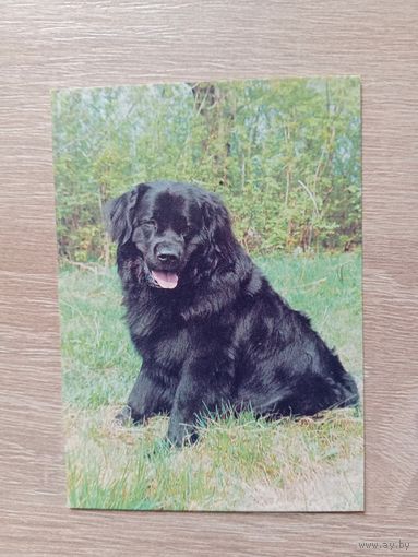 Календарик 1993