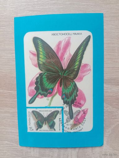 Календарик 1989