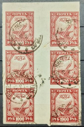 РСФСР 1921г.