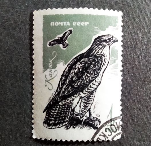 Марка СССР 1965 год Птицы