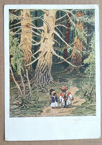 Рачев Е. Иллюстр.к сказке "Два жадных медвежонка".1955 г. Чистая.