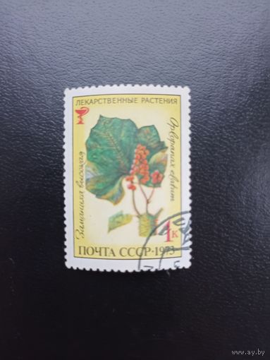 1973. Заманиха высокая.