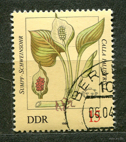 Ядовитые растения. ГДР. 1982