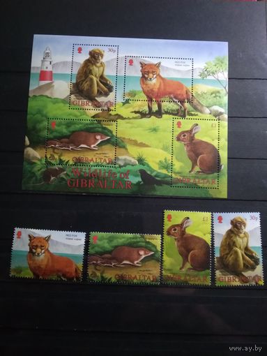 Гибралтар 2002 г. Фауна.
