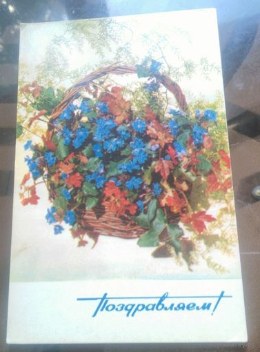 1970 год Е.Игнатович Поздравляем