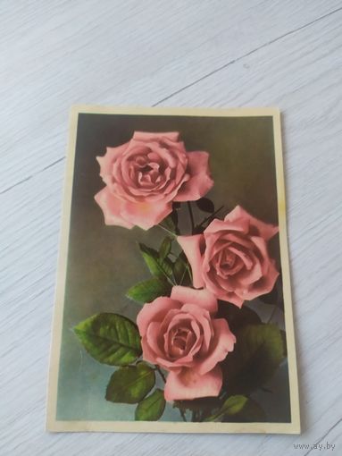 Открытка ЦВЕТЫ