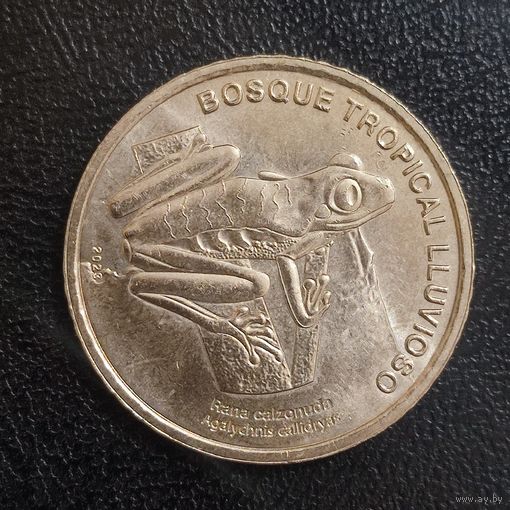 Коста-Рика 50 колонов, 2023 Красноглазая квакша