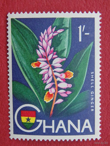 Гана. Цветы.