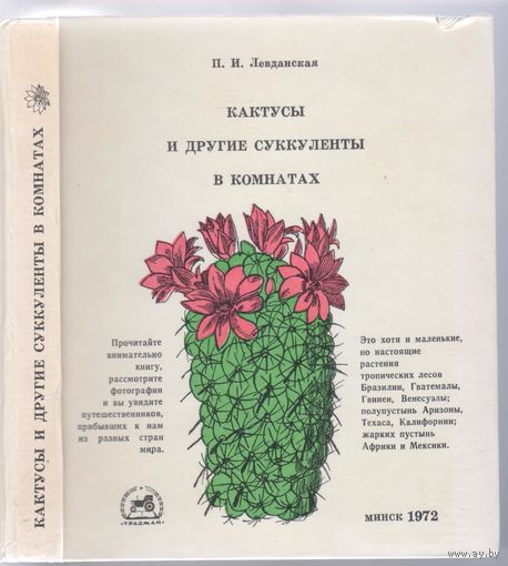 Левданская П. Кактусы и другие суккуленты в комнатах.