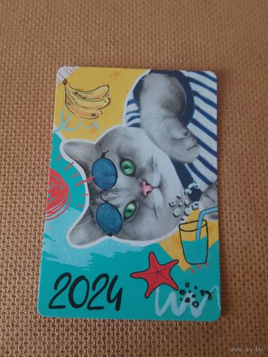 Карманный календарик. Котик. 2024 год