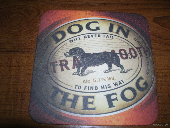 Dog in the Fog