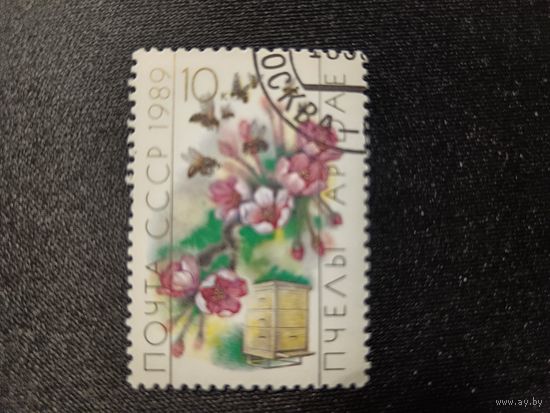 1989. Пчелы