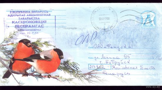2006 год Снегири