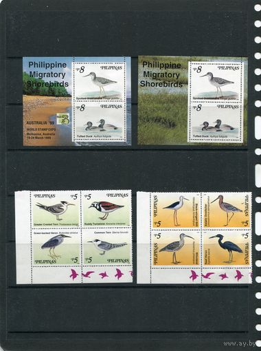 Филиппины. Фауна. Птицы