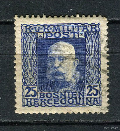 Босния и Герцоговина (Австро-венгерская администрация) - 1912/1914 - Кайзер Франц Иосиф I 25H - [Mi.72] - 1 марка. Гашеная.  (Лот 69CX)