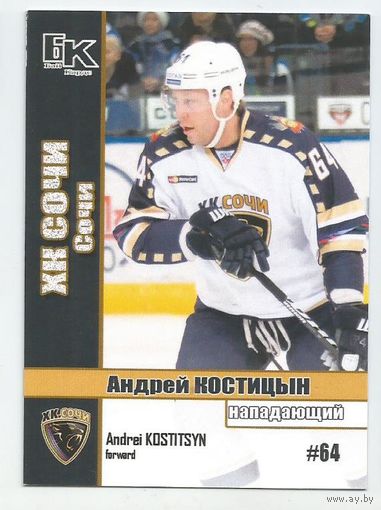 Андрей Костицын / ХК "СОЧИ" / Сезон 2015-2016г.