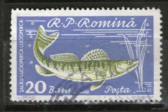 Румыния. Михель- 1928. Гашеная.