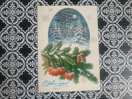 Открытка СССР 1986 год. Прошла почту. Ю.Куртенко .Состояние на скане.