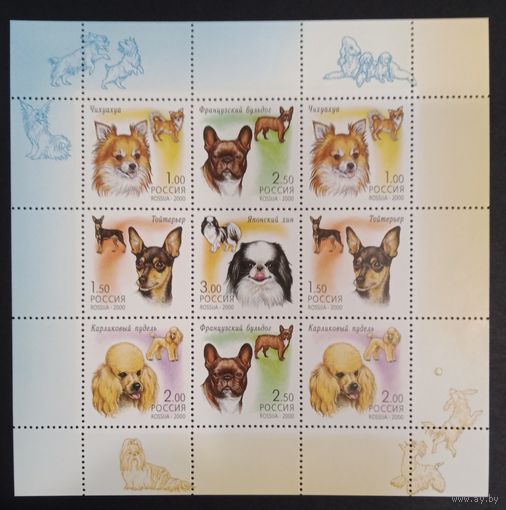 Марки России 2000 чистый малый лист Декоративные собаки, фауна, СК 605 - 609, каталог 1000 рос. рублей