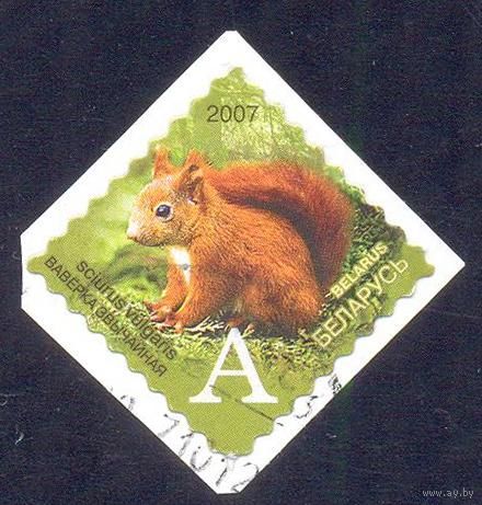 2007 Беларусь стандарт фауна самоклейки