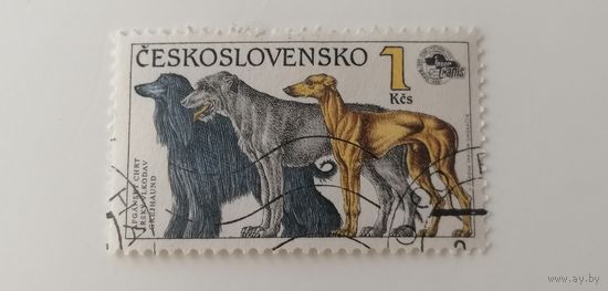 Чехословакия 1990. Собаки.