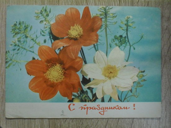 ПОДПИСАННАЯ ОТКРЫТКА СССР.  "С ПРАЗДНИКОМ!" ФОТО. И. ДЕРГИЛЕВА 1969 год